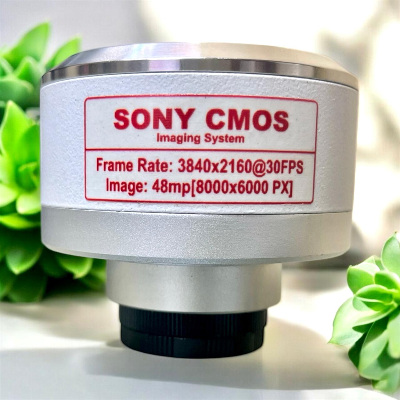 WhatsApp Image 2025-01-28 at 11.06.27_b4f908ed